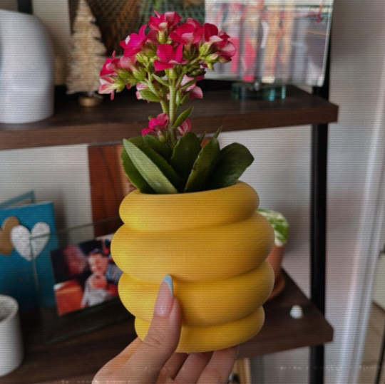 Honey Pot Planter