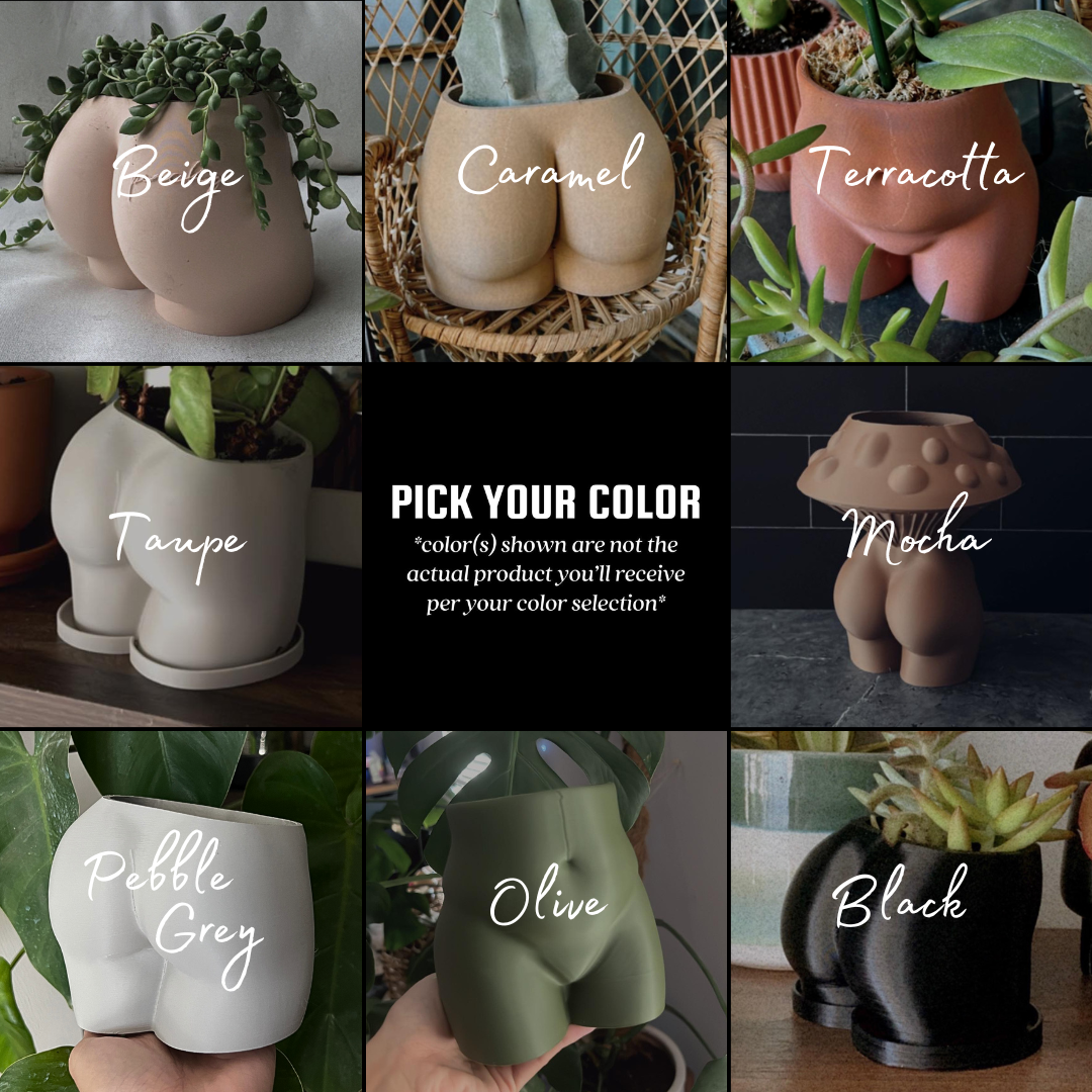 plant coffin flower pot Coffin Planter