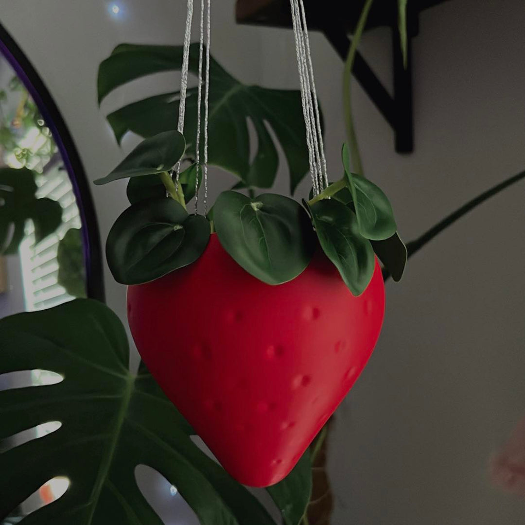hanging strawberry plant near me Hanging Strawberry Planter