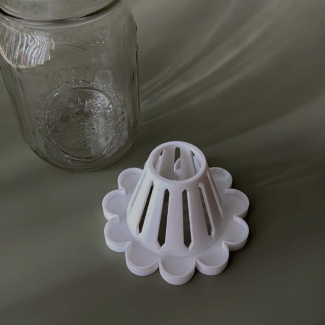 Petal Propagation Cone for Mason Jars | More Colors Available