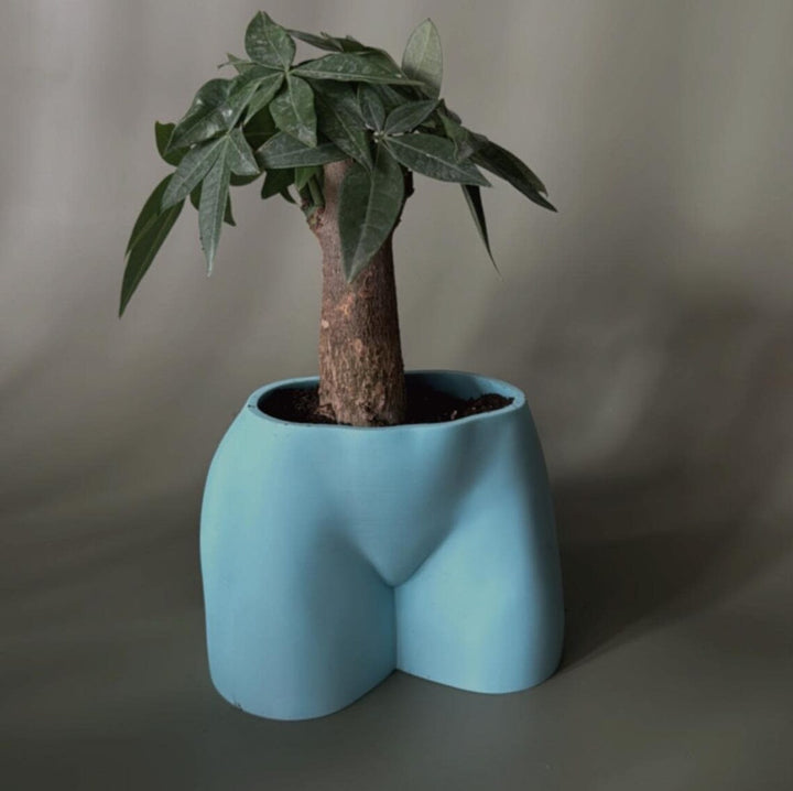 Laguna Cheeky Planter | More Colors Available