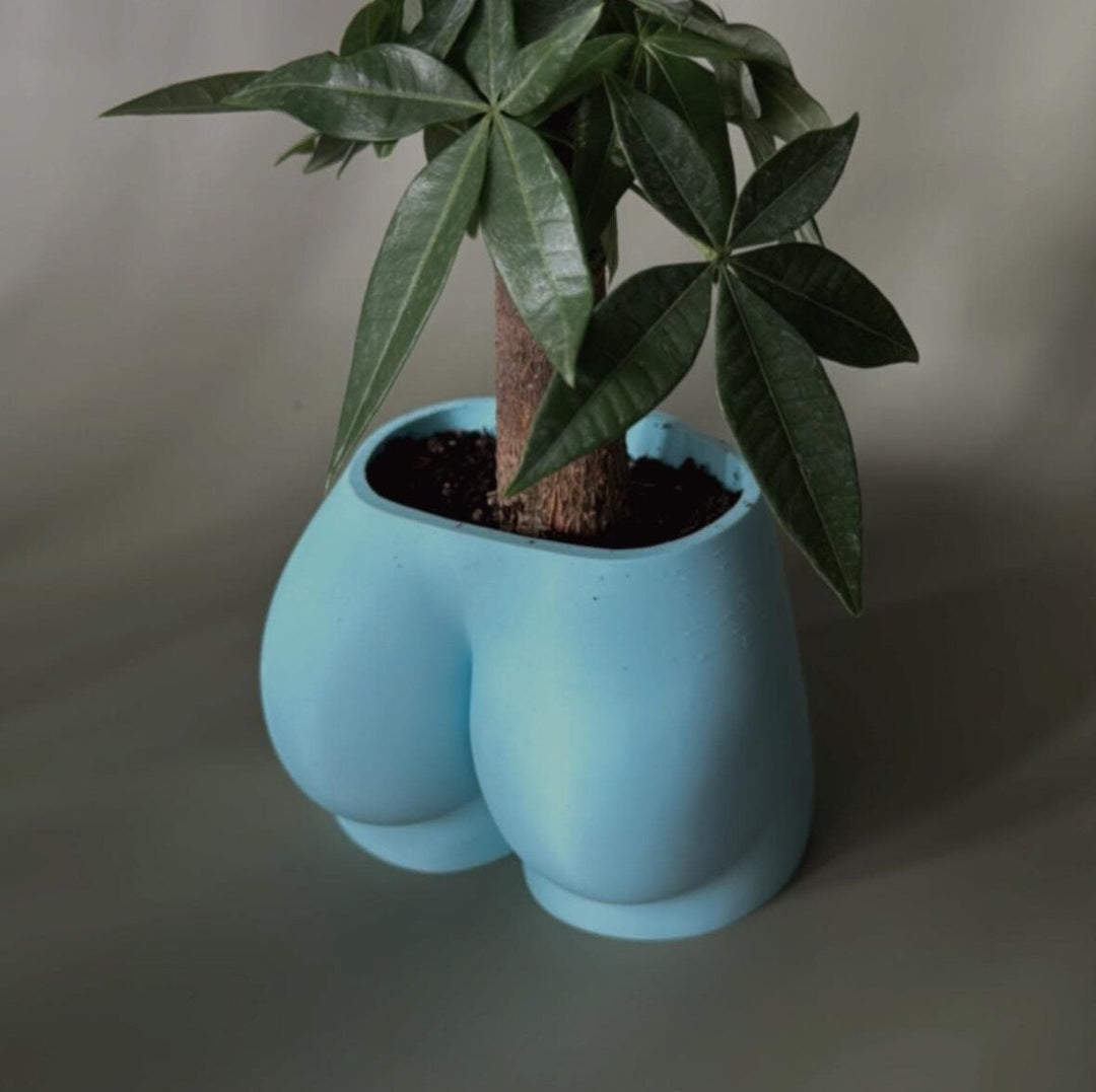 Laguna Cheeky Planter | More Colors Available