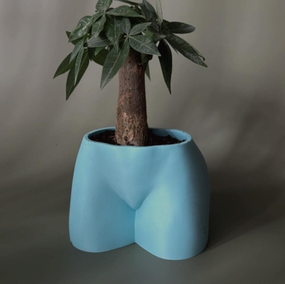 Laguna Cheeky Planter | More Colors Available