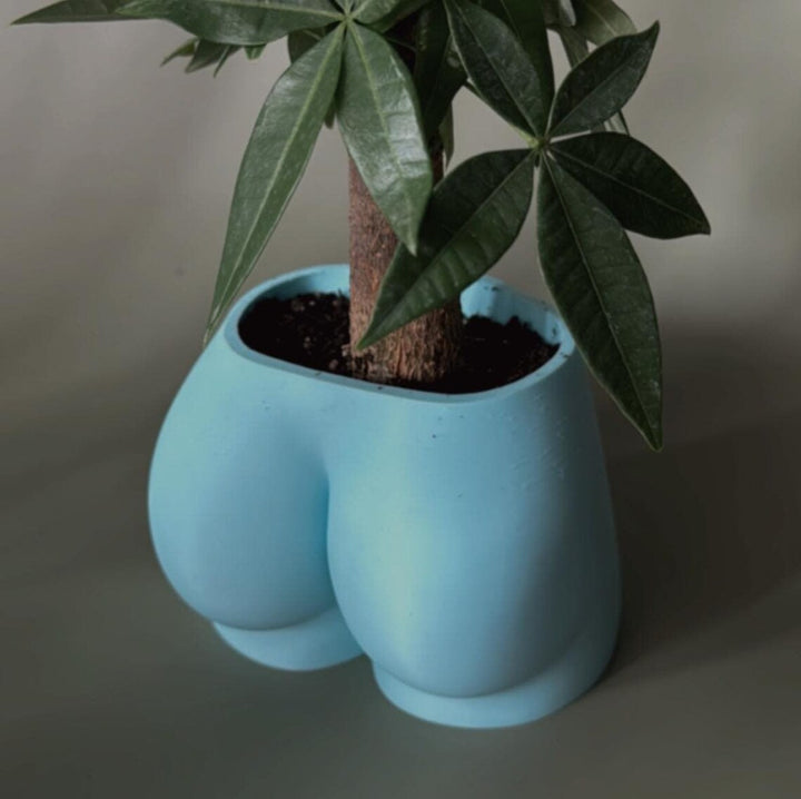 Laguna Cheeky Planter | More Colors Available