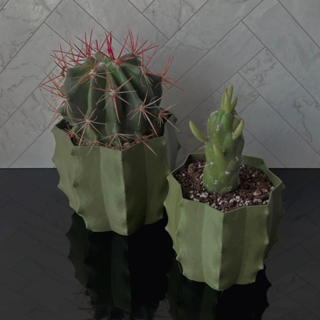 cactus shaped plant pot Cactus Shape Planter